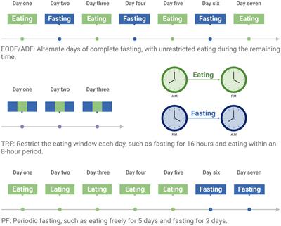 Intermittent fasting, fatty acid metabolism reprogramming, and neuroimmuno microenvironment: mechanisms and application prospects